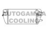 AUTOGAMMA 107074 Intercooler, charger